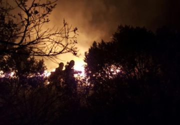 ATIENDE GOBIERNO INCENDIOS FORESTALES OCASIONADOS POR ALTAS TEMPERATURAS EN ZACATECAS