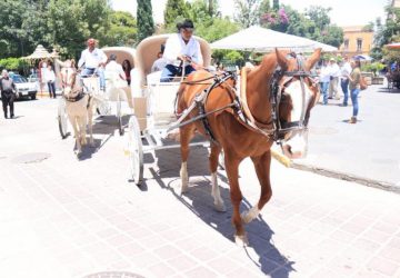 LANZA GODEZAC PRODUCTO TURÍSTICO PASEOS EN CARRETA EN JEREZ PUEBLO MÁGICO