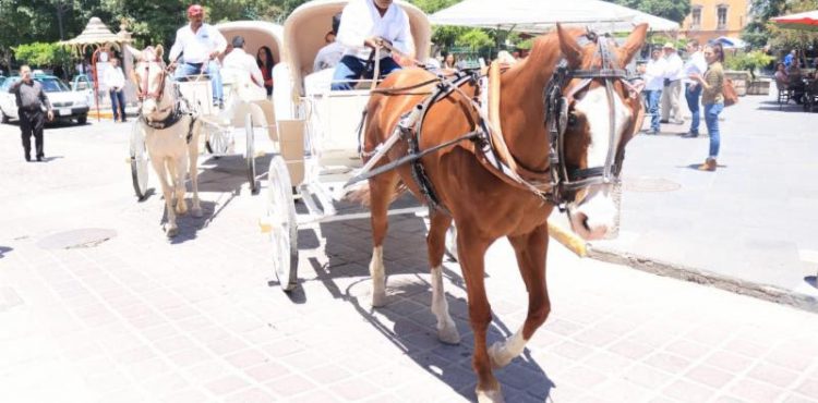 LANZA GODEZAC PRODUCTO TURÍSTICO PASEOS EN CARRETA EN JEREZ PUEBLO MÁGICO