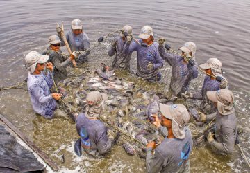 REALIZA SAGARPA EL FORO ECONÓMICO DE PESCA Y ACUACULTURA 2018