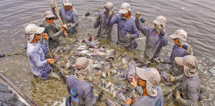 REALIZA SAGARPA EL FORO ECONÓMICO DE PESCA Y ACUACULTURA 2018