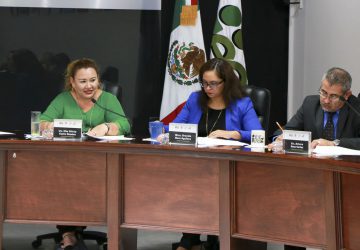 APRUEBA IEEZ CANCELACIÓN DEL REGISTRO COMO PARTIDOS NACIONALES A NUEVA ALIANZA Y ENCUENTRO SOCIAL