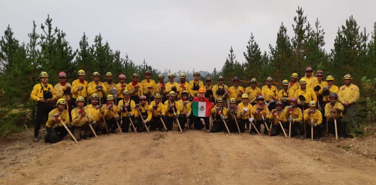 CON 536 COMBATIENTES MOVILIZADOS CONCLUYE APOYO A CANADÁ POR INCENDIOS FORESTALES