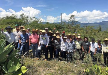 INTERCAMBIAN EXPERIENCIAS PRODUCTORES FORESTALES DE ZACATECAS Y GUERRERO