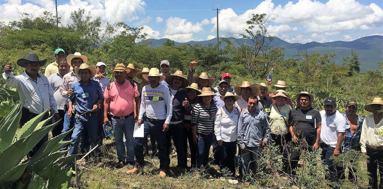 INTERCAMBIAN EXPERIENCIAS PRODUCTORES FORESTALES DE ZACATECAS Y GUERRERO