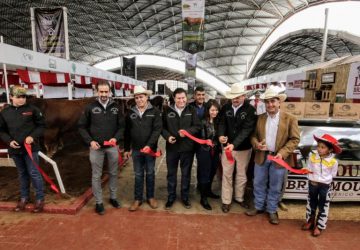 INAUGURA GOBIERNO ESTATAL XXVIII EXPO NACIONAL DE GANADO LIMOUSIN ZACATECAS 2018