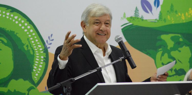 PRESIDENTE ELECTO PRESENTA PROGRAMA SEMBRANDO VIDA QUE REACTIVARÁ EL SURESTE MEXICANO