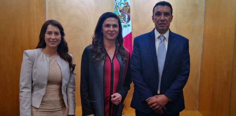 HARÉ EQUIPO CON ZACATECAS: ANA GABRIELA GUEVARA