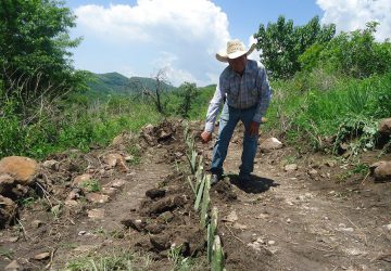 APOYA CONAFOR CON 2.6 MDP PROYECTO FORESTAL EN MOYAHUA DE ESTRADA