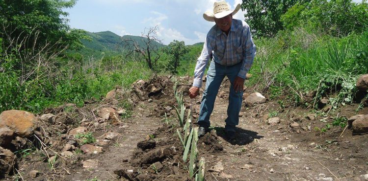 APOYA CONAFOR CON 2.6 MDP PROYECTO FORESTAL EN MOYAHUA DE ESTRADA