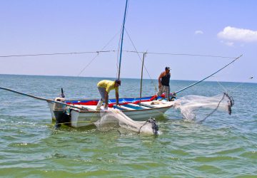 SE REALIZA EL CERTAMEN NACIONAL “PREMIO A LA PESCA Y ACUACULTURA SUSTENTABLES 2018”