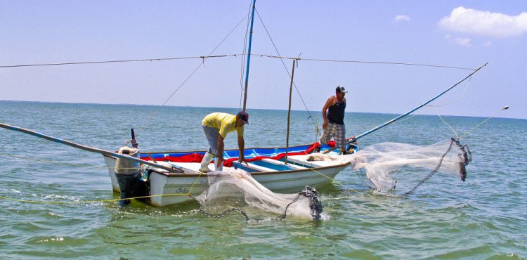 SE REALIZA EL CERTAMEN NACIONAL “PREMIO A LA PESCA Y ACUACULTURA SUSTENTABLES 2018”