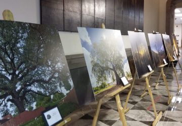 POR TERCER AÑO CONSECUTIVO PREMIAN CONAFOR Y REFORESTAMOS MÉXICO A GANADORES DE CONCURSO DE FOTOGRAFÍA FORESTAL