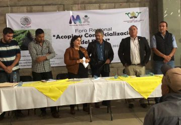 BUSCAN DIPUTADOS Y DIPUTADAS FORTALECER A PRODUCTORES DEL FRIJOL