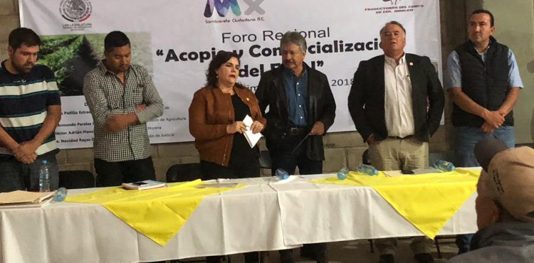 BUSCAN DIPUTADOS Y DIPUTADAS FORTALECER A PRODUCTORES DEL FRIJOL