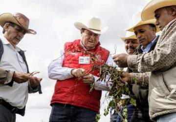 IMPULSA GOBIERNO DEL ESTADO LA AGRICULTURA SOSTENIBLE EN MIL HECTÁREAS