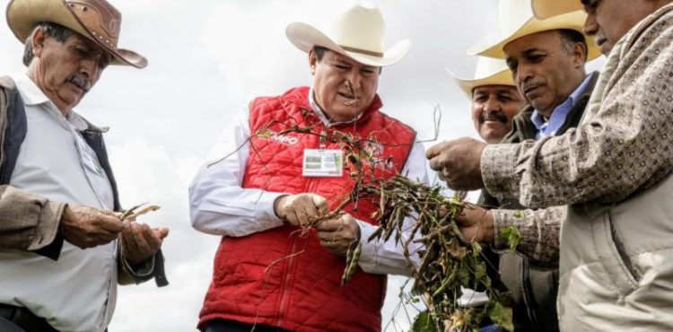 IMPULSA GOBIERNO DEL ESTADO LA AGRICULTURA SOSTENIBLE EN MIL HECTÁREAS