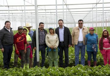 APOYA ALEJANDRO TELLO A PRODUCTORES PARA EXPORTACIÓN DE 1,500 TONELADAS DE HORTALIZAS