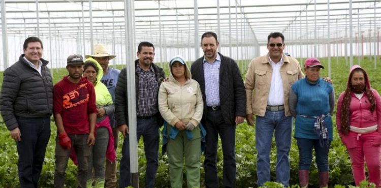 APOYA ALEJANDRO TELLO A PRODUCTORES PARA EXPORTACIÓN DE 1,500 TONELADAS DE HORTALIZAS