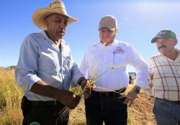 IMPULSA GOBIERNO DE ZACATECAS TECNIFICACIÓN DEL CAMPO