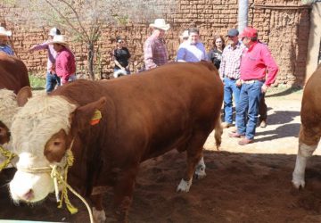 ENTREGA GOBIERNO DEL ESTADO APOYOS EN EL CAÑÓN DE TLALTENANGO