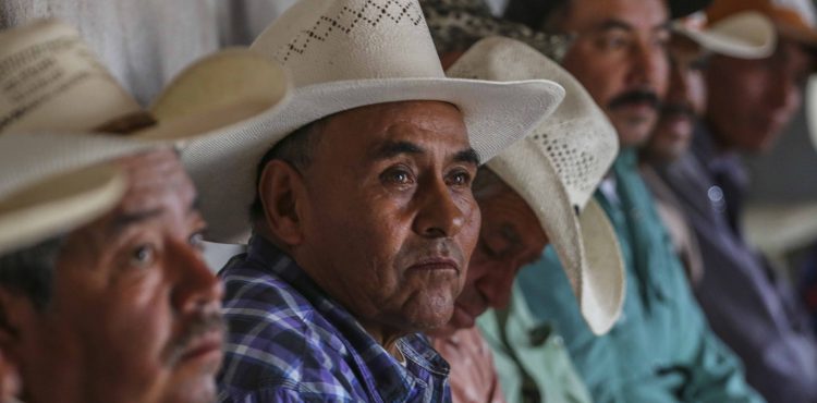 SE ENTREGAN INCENTIVOS DE PRODUCCIÓN PARA EL BIENESTAR A 46 MIL 432 CAMPESINOS ZACATECANOS