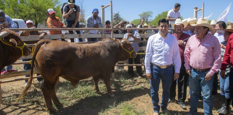 DAVID MONREAL ÁVILA ENTREGA APOYOS DEL  CRÉDITO GANADERO A LA PALABRA EN GUADALUPE