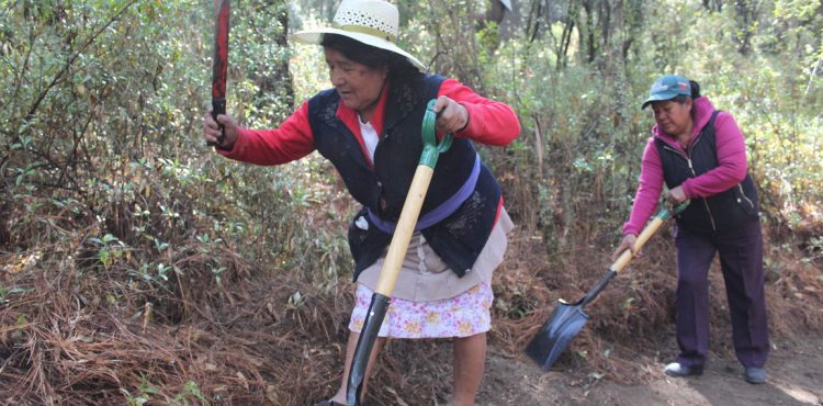 MUJERES PROTEGEN PARQUE NACIONAL LA MALINCHE