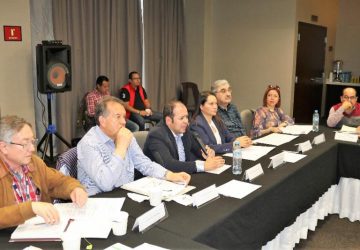 APRUEBA COMITÉ CIUDADANO DE MONITOREO SU PROGRAMA ANUAL DE ACTIVIDADES 2019