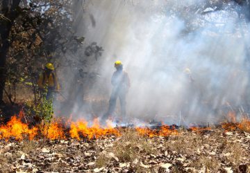 SE INTENSIFICAN INCENDIOS FORESTALES EN ABRIL Y MAYO: CONAFOR