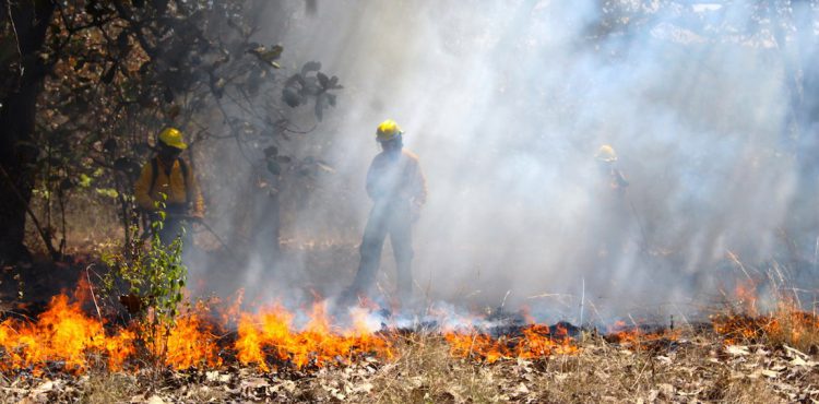 SE INTENSIFICAN INCENDIOS FORESTALES EN ABRIL Y MAYO: CONAFOR