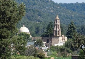 PELIGRA EL BOSQUE DE MONTE ESCOBEDO; ES UNA DE LAS POCAS CUNAS DEL ÁGUILA REAL: DIP. GABY PINEDO