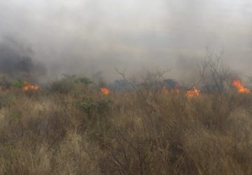 CONTROLADO, INCENDIO FORESTAL EN SAIN ALTO