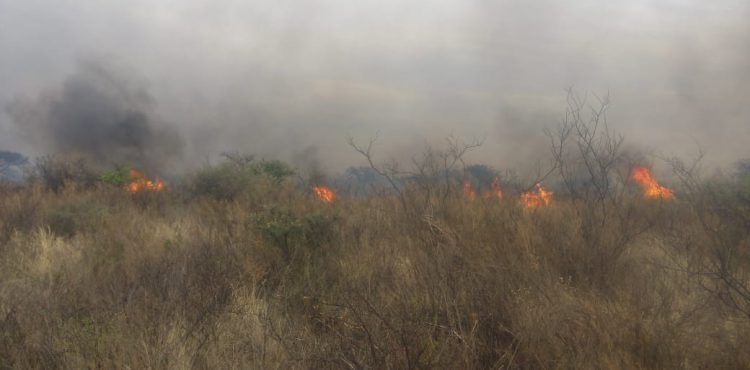 CONTROLADO, INCENDIO FORESTAL EN SAIN ALTO