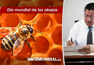 DÍA MUNDIAL DE LAS ABEJAS