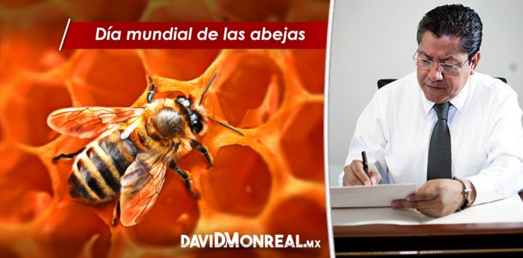 DÍA MUNDIAL DE LAS ABEJAS