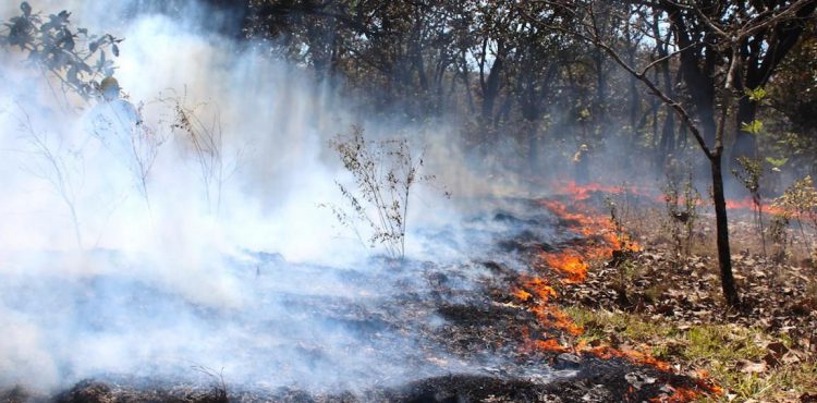 REFUERZA PROTECCIÓN CIVIL ACCIONES PARA EVITAR INCENDIOS FORESTALES