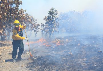 LA CONAFOR EXHORTA A LA POBLACIÓN A NO COMBATIR INCENDIOS FORESTALES SI NO ESTÁ CAPACITADA