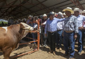 EMITE LA COORDINACIÓN GENERAL DE GANADERÍA CONVOCATORIA PARA CONTRATACIÓN DE MÉDICOS VETERINARIOS