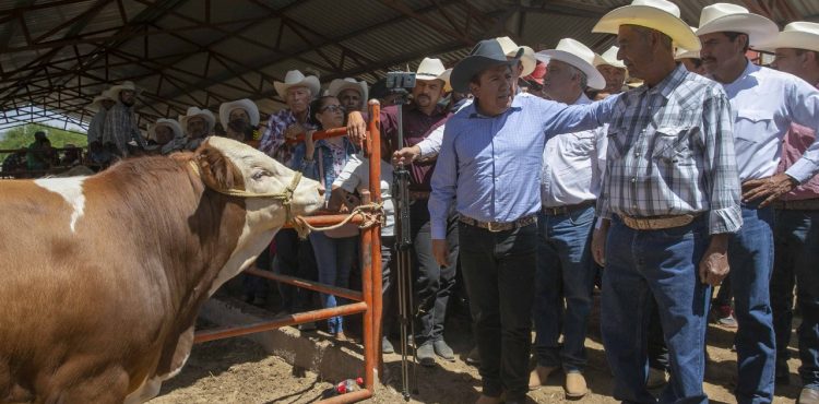 EMITE LA COORDINACIÓN GENERAL DE GANADERÍA CONVOCATORIA PARA CONTRATACIÓN DE MÉDICOS VETERINARIOS