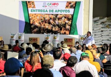 PRESENTA GOBIERNO DE ZACATECAS INICIATIVA PARA ENDURECER PENAS POR ROBO DE COLMENAS