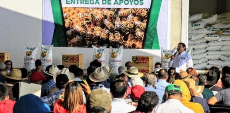 PRESENTA GOBIERNO DE ZACATECAS INICIATIVA PARA ENDURECER PENAS POR ROBO DE COLMENAS