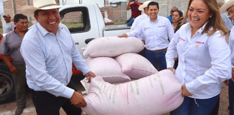 ENTREGA DAVID MONREAL SEMILLA DE AVENA FORRAJERA A 1 MIL 600 PRODUCTORES DE OCHO MUNICIPIOS