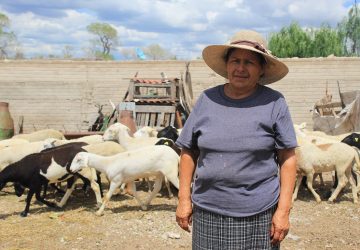 DESTINA SADER 189.3 MDP PARA APOYAR A MUJERES EN ZACATECAS