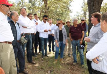 AVANZA PROYECTO DE MONTE ESCOBEDO “ÁREA NATURAL PROTEGIDA”. DIP. GABY PINEDO.