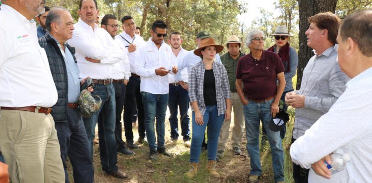 AVANZA PROYECTO DE MONTE ESCOBEDO “ÁREA NATURAL PROTEGIDA”. DIP. GABY PINEDO.