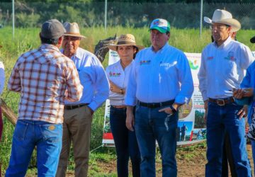 INSTALAN MÓDULOS PARA MAXIMIZAR APROVECHAMIENTO DE SUELO Y AGUA EN LA PRODUCCIÓN DE FORRAJES Y HORTALIZAS