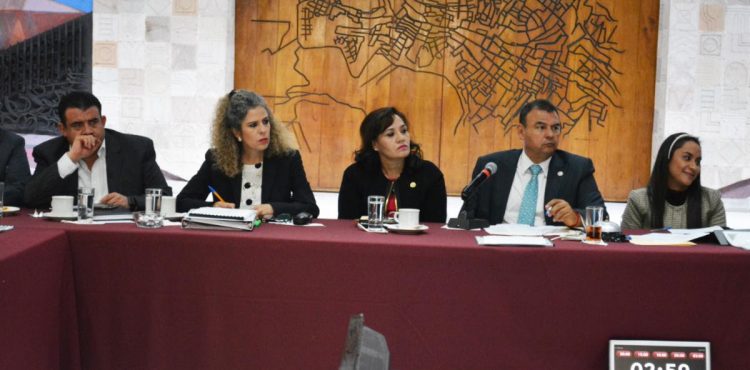 COMPARECE SECRETARIA DE LA FUNCIÓN PÚBLICA PAULA REY ANTE LEGISLADORES