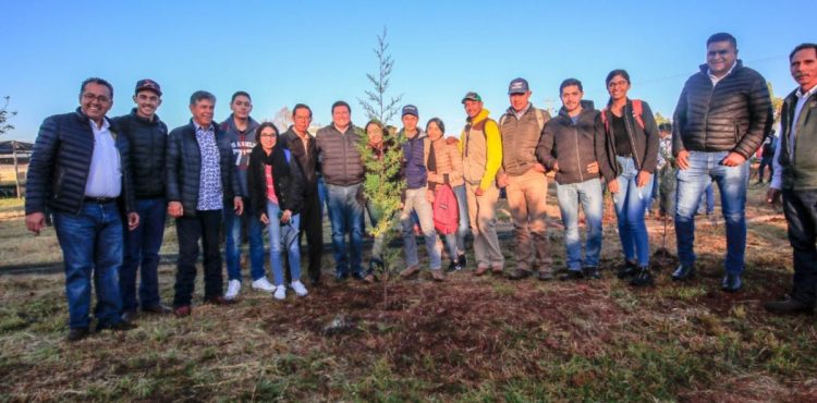 REFORESTARÁN CON 2 MIL ÁRBOLES PERÍMETRO DE UNIDAD ACADÉMICA DE AGRONOMÍA