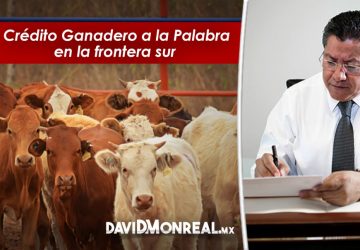 CRÉDITO GANADERO A LA PALABRA EN LA FRONTERA SUR